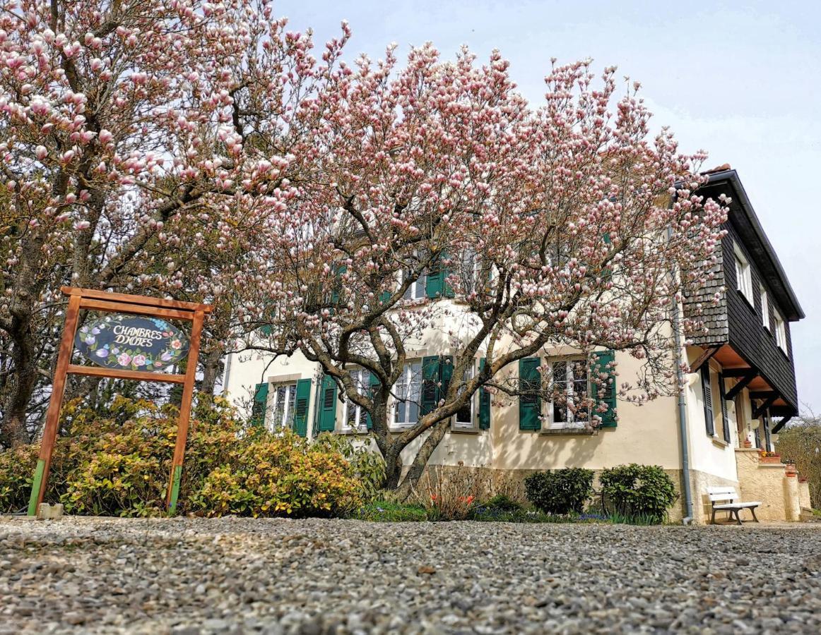 Bed and Breakfast La Tirelire à Cosswiller Extérieur photo